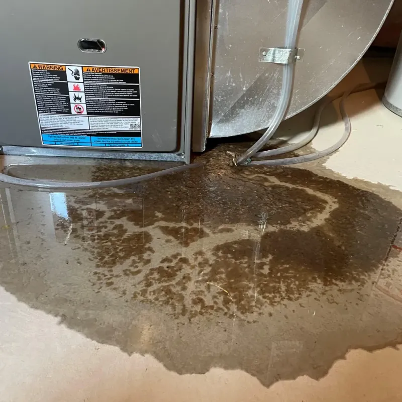 Appliance Leak Cleanup in Schererville, IN